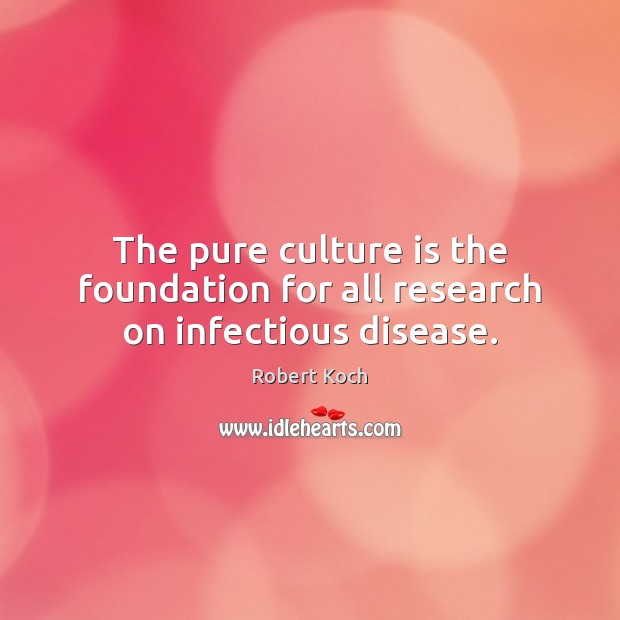 The pure culture is the foundation for all research on infectious disease. Robert Koch Picture Quote