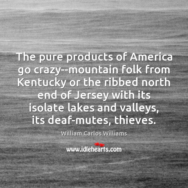 The pure products of America go crazy–mountain folk from Kentucky or the William Carlos Williams Picture Quote