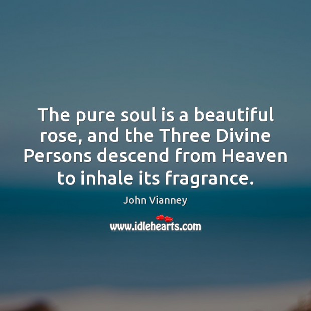 The pure soul is a beautiful rose, and the Three Divine Persons Soul Quotes Image