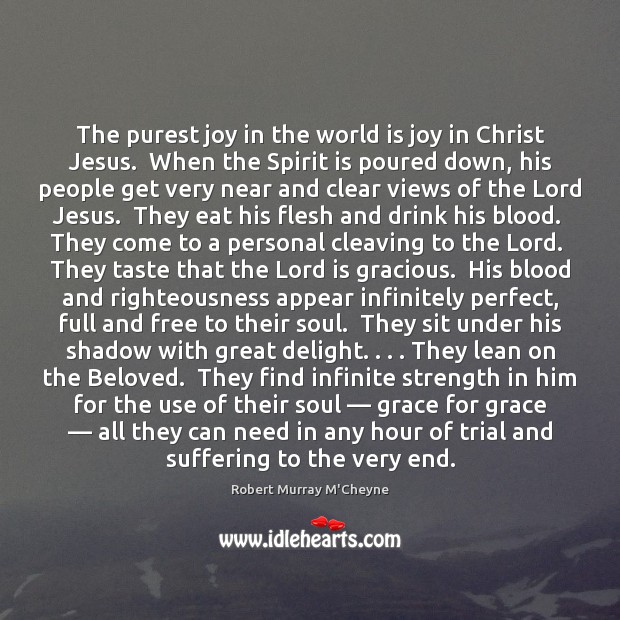 The purest joy in the world is joy in Christ Jesus.  When Robert Murray M’Cheyne Picture Quote