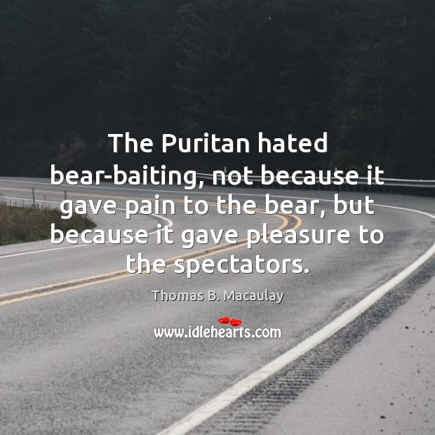 The Puritan hated bear-baiting, not because it gave pain to the bear, Thomas B. Macaulay Picture Quote