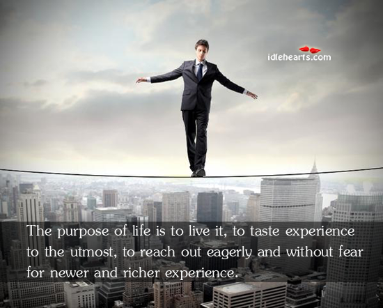 The purpose of life is to live it, to taste experience to Image
