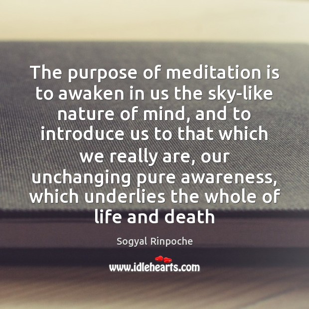 The purpose of meditation is to awaken in us the sky-like nature Sogyal Rinpoche Picture Quote