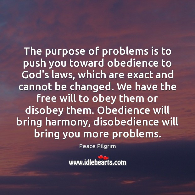 The purpose of problems is to push you toward obedience to God’s Image