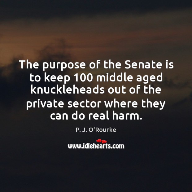 The purpose of the Senate is to keep 100 middle aged knuckleheads out P. J. O’Rourke Picture Quote