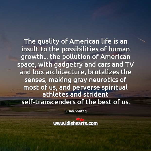 The quality of American life is an insult to the possibilities of Insult Quotes Image