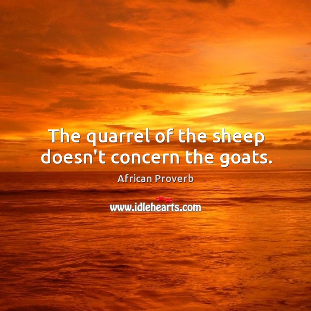 The quarrel of the sheep doesn’t concern the goats. African Proverbs Image