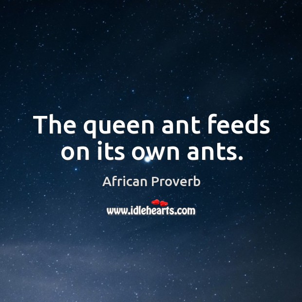 The queen ant feeds on its own ants. Image