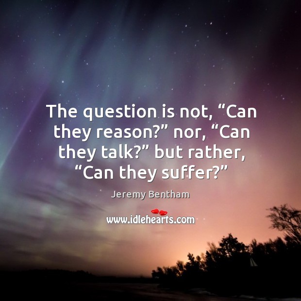 The question is not, “can they reason?” nor, “can they talk?” but rather, “can they suffer?” Jeremy Bentham Picture Quote