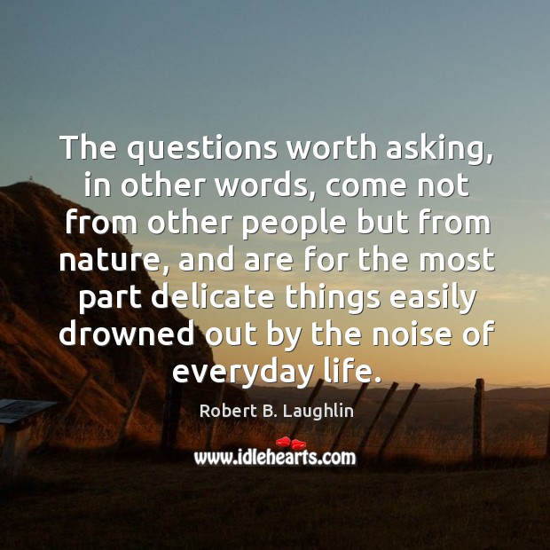 The questions worth asking, in other words, come not from other people Robert B. Laughlin Picture Quote