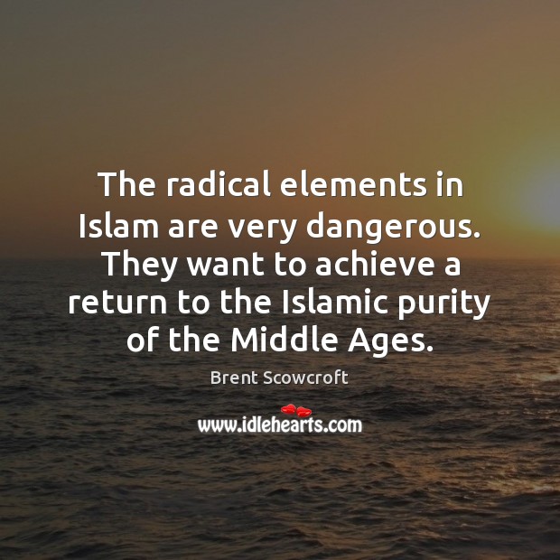 The radical elements in Islam are very dangerous. They want to achieve Image