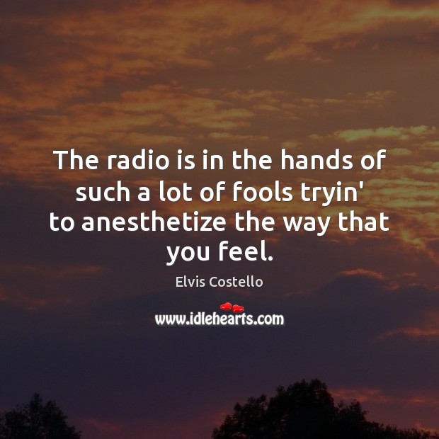 The radio is in the hands of such a lot of fools Elvis Costello Picture Quote