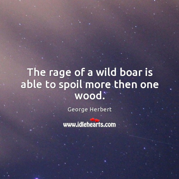 The rage of a wild boar is able to spoil more then one wood. George Herbert Picture Quote
