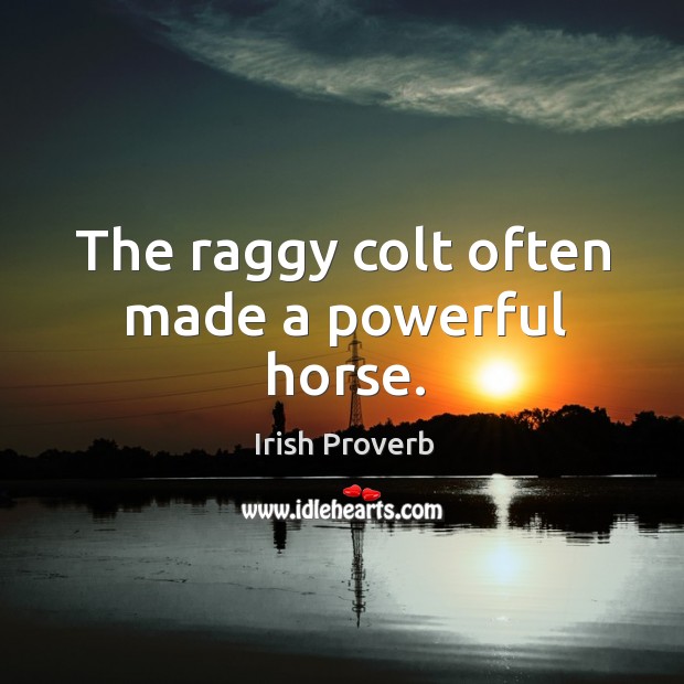The raggy colt often made a powerful horse. Irish Proverbs Image