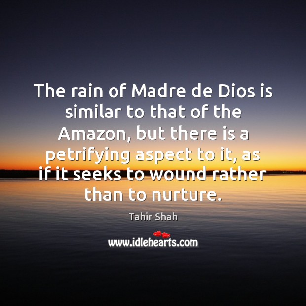 The rain of Madre de Dios is similar to that of the Image