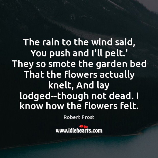 The rain to the wind said, You push and I’ll pelt.’ Robert Frost Picture Quote