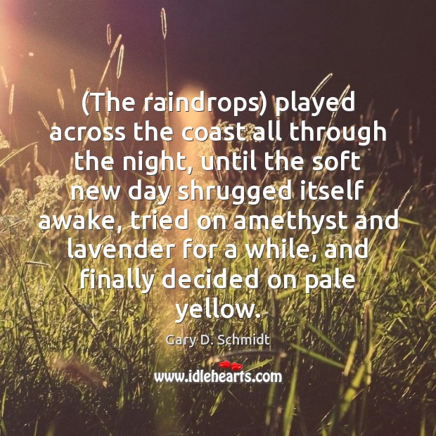 (The raindrops) played across the coast all through the night, until the Gary D. Schmidt Picture Quote