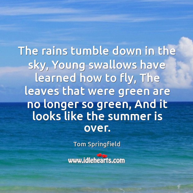 The rains tumble down in the sky, Young swallows have learned how Tom Springfield Picture Quote