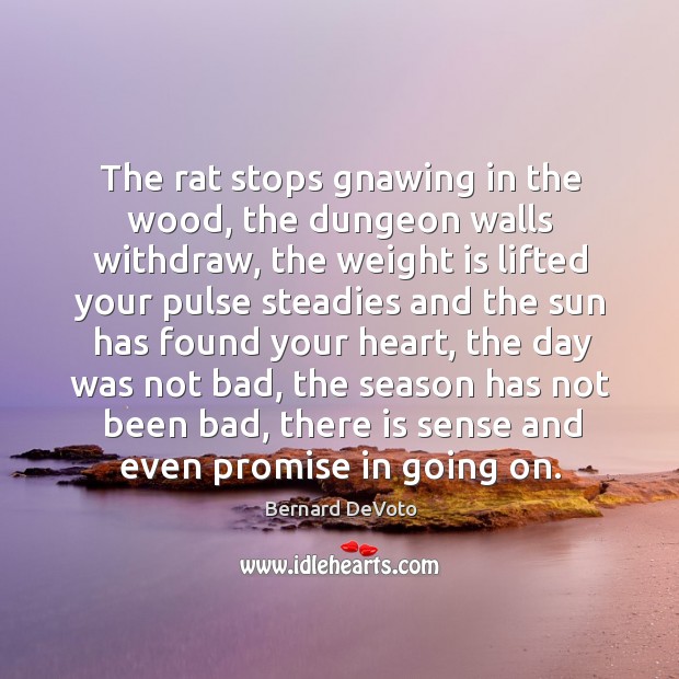 The rat stops gnawing in the wood, the dungeon walls withdraw, the weight is lifted Bernard DeVoto Picture Quote