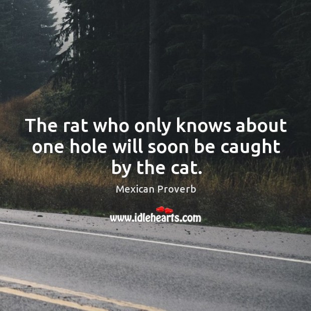 The rat who only knows about one hole will soon be caught by the cat. Mexican Proverbs Image