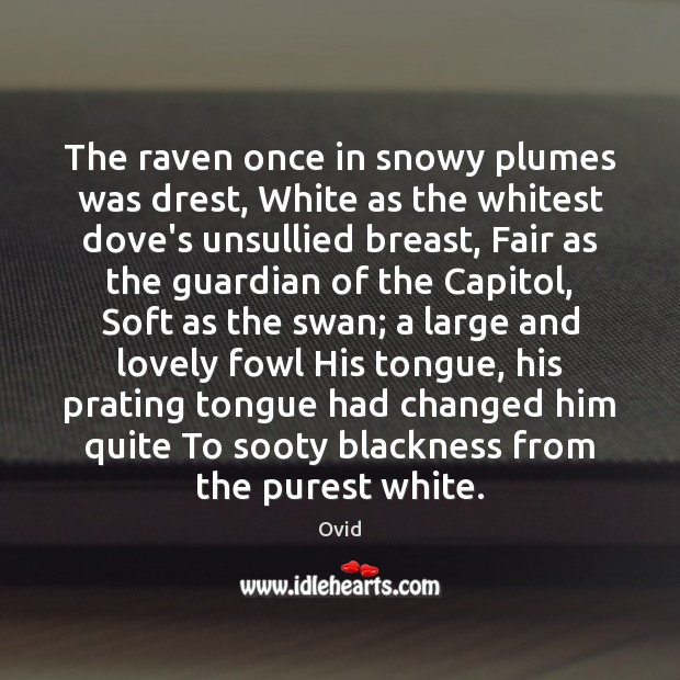 The raven once in snowy plumes was drest, White as the whitest Image