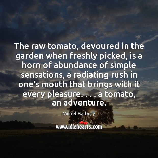 The raw tomato, devoured in the garden when freshly picked, is a Muriel Barbery Picture Quote