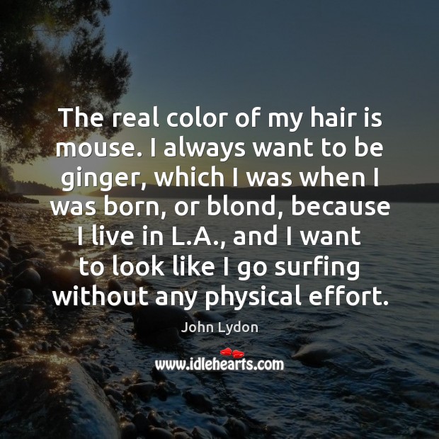 The real color of my hair is mouse. I always want to John Lydon Picture Quote