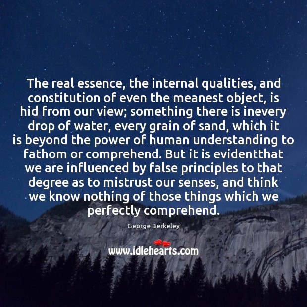 The real essence, the internal qualities, and constitution of even the meanest Understanding Quotes Image