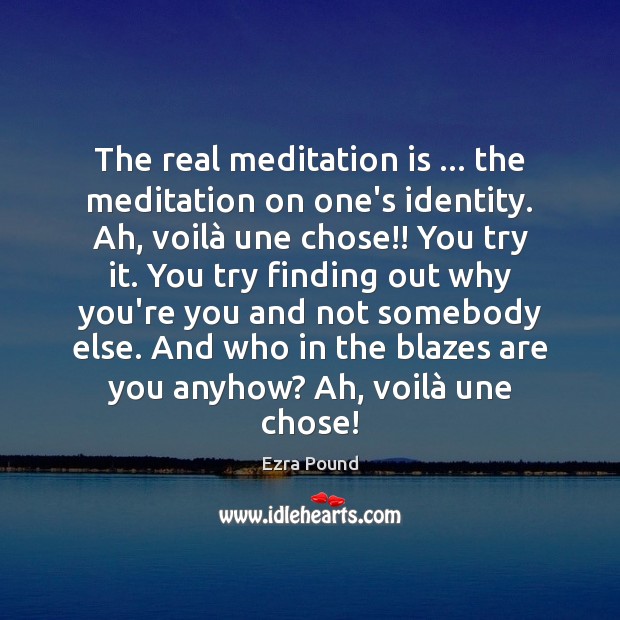The real meditation is … the meditation on one’s identity. Ah, voilà une Ezra Pound Picture Quote