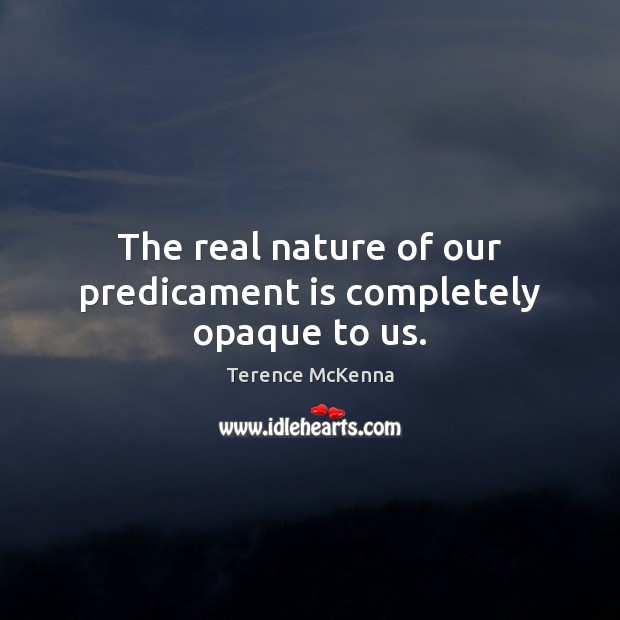 The real nature of our predicament is completely opaque to us. Terence McKenna Picture Quote