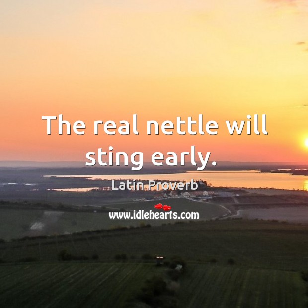 The real nettle will sting early. Image