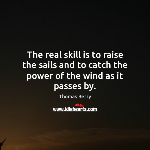 The real skill is to raise the sails and to catch the power of the wind as it passes by. Thomas Berry Picture Quote