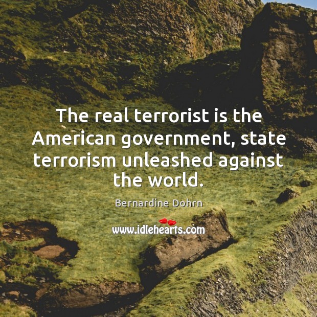 The real terrorist is the American government, state terrorism unleashed against the Image