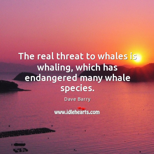 The real threat to whales is whaling, which has endangered many whale species. Dave Barry Picture Quote