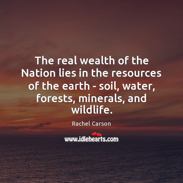 The real wealth of the Nation lies in the resources of the Rachel Carson Picture Quote