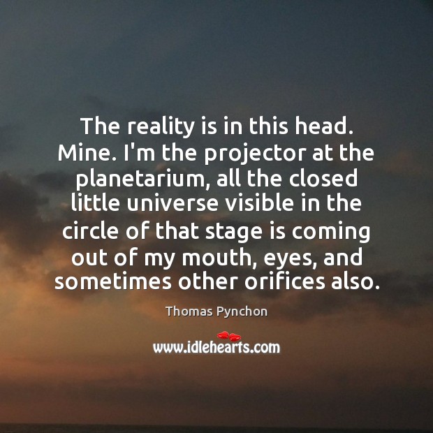 The reality is in this head. Mine. I’m the projector at the Thomas Pynchon Picture Quote