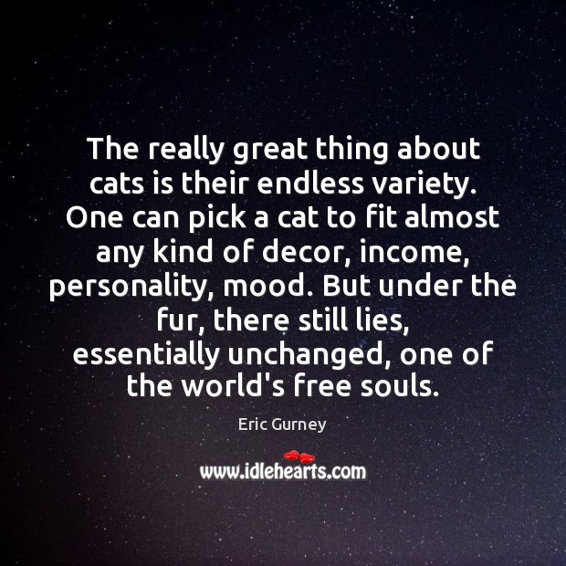 The really great thing about cats is their endless variety. One can Eric Gurney Picture Quote