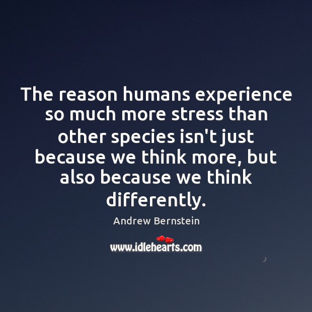 The reason humans experience so much more stress than other species isn’t Andrew Bernstein Picture Quote