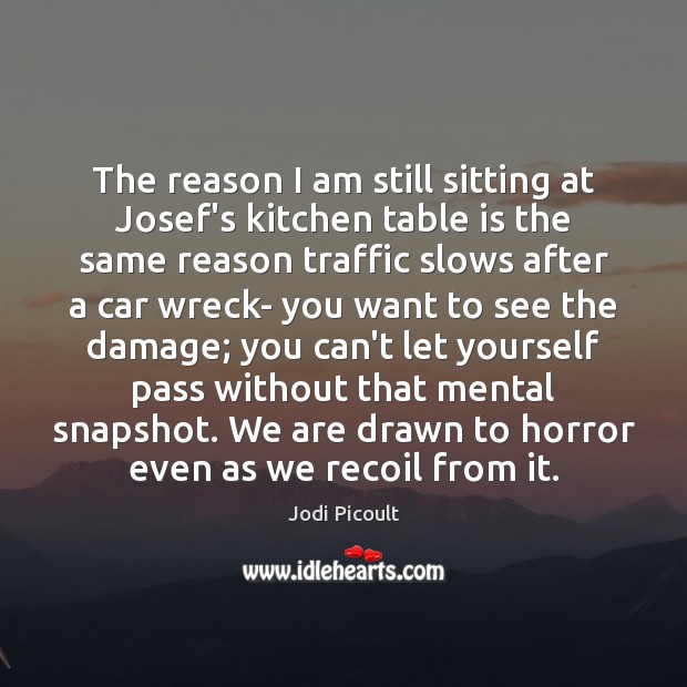 The reason I am still sitting at Josef’s kitchen table is the Jodi Picoult Picture Quote