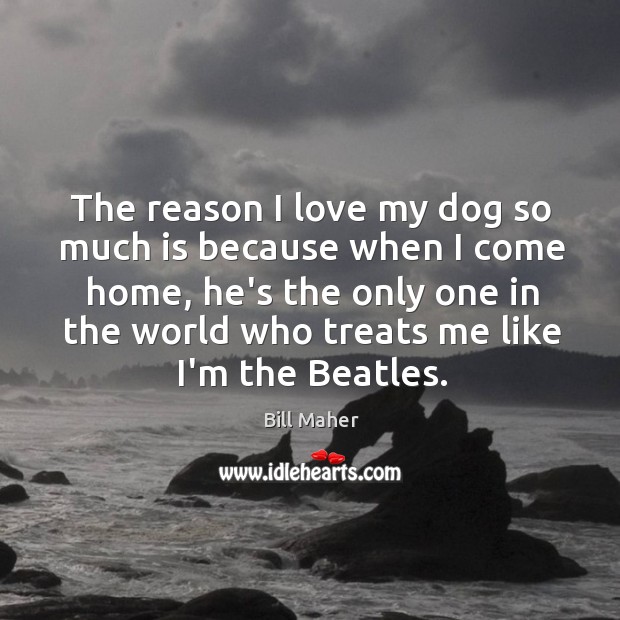 The reason I love my dog so much is because when I Bill Maher Picture Quote
