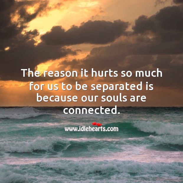The reason it hurts so much for us to be separated is because our souls are connected. Love Hurts Quotes Image