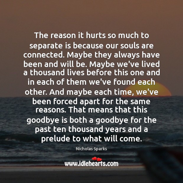 The reason it hurts so much to separate is because our souls Goodbye Quotes Image
