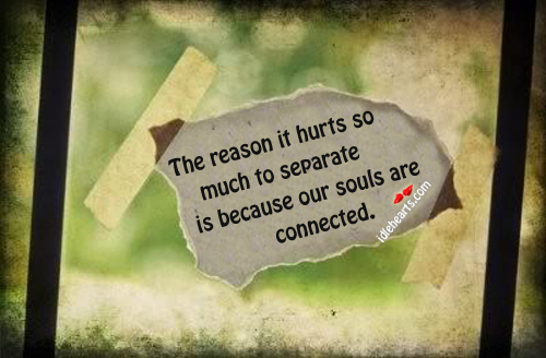 Reason it hurts so much to separate is because souls are connected Nicholas Sparks Picture Quote