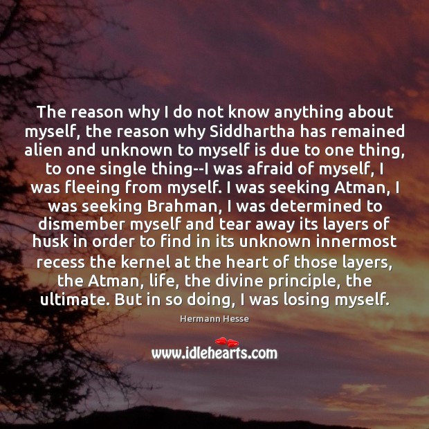 The reason why I do not know anything about myself, the reason Hermann Hesse Picture Quote
