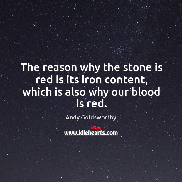 The reason why the stone is red is its iron content, which is also why our blood is red. Andy Goldsworthy Picture Quote