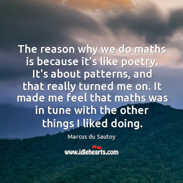 The reason why we do maths is because it’s like poetry. It’s Marcus du Sautoy Picture Quote