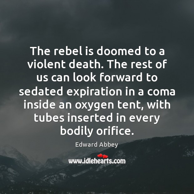 The rebel is doomed to a violent death. The rest of us Edward Abbey Picture Quote
