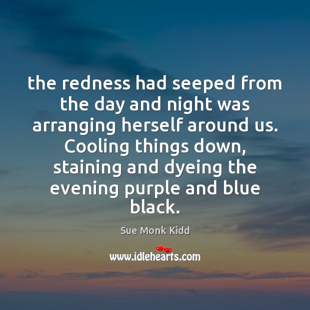 The redness had seeped from the day and night was arranging herself 