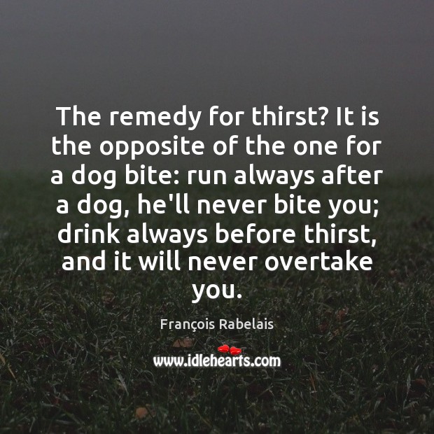 The remedy for thirst? It is the opposite of the one for François Rabelais Picture Quote