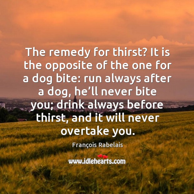 The remedy for thirst? it is the opposite of the one for a dog bite: run always after a dog François Rabelais Picture Quote
